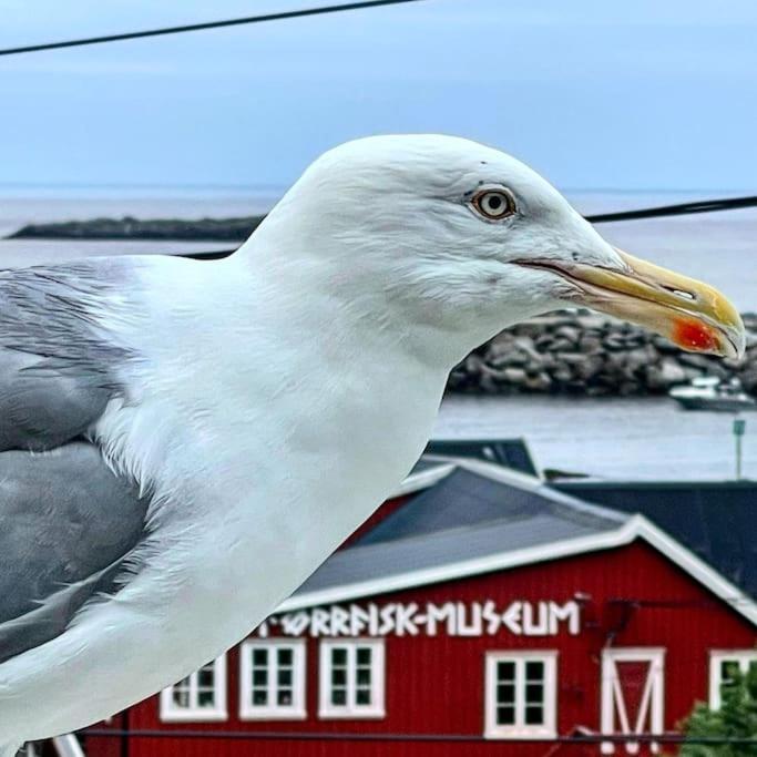 A, The Far End Of Lofoten, Top Apartment. Sørvågen Εξωτερικό φωτογραφία